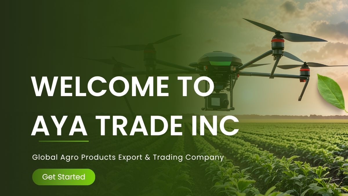 Home - Global Export & Trading Company